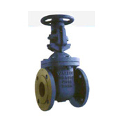 WALTEC_Rising Stem Gate Valve