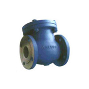 WALTEC_Swing Check Valve